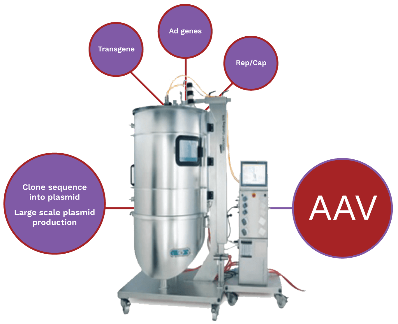 AAVPlatform proven end-to-end capability results in technology to increase scale and lower costs of goods as well as translate into clinic faster, safer and with greater predictability.